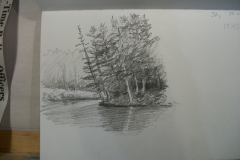 100_6121